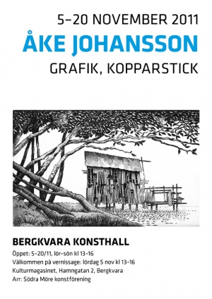Kulturmagasinet - Åke Johansson, Bergkvara Konsthall 2011